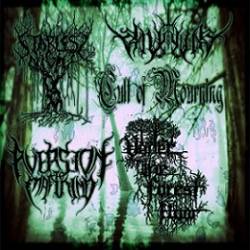 Valkynaz : Starless Night - Aversion to Mankind - Under the Forest Floor - Valkynaz - Cult of Mourning